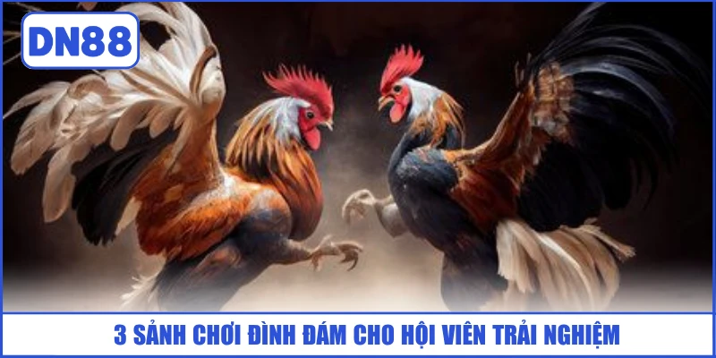 3-sanh-choi-dinh-dam-cho-hoi-vien-trai-nghiem