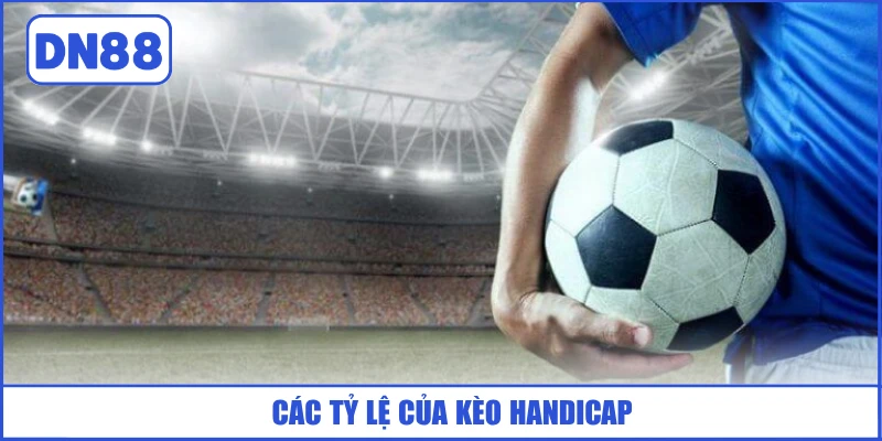 cac-ty-le-cua-keo-handicap