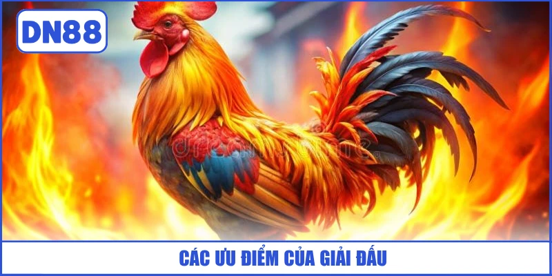 cac-uu-diem-cua-giai-dau