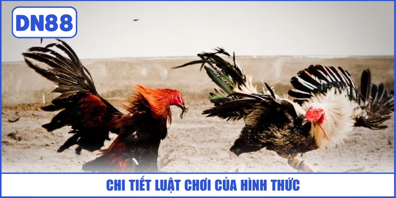 chi-tiet-luat-choi-cua-hinh-thuc