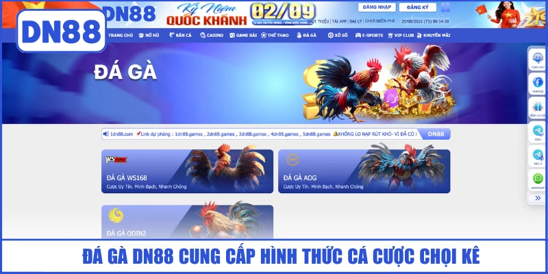 da-ga-dn88-cung-cap-hinh-thuc-ca-cuoc-choi-ke