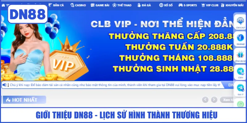 gioi-thieu-dn88-lich-su-hinh-thanh-thuong-hieu
