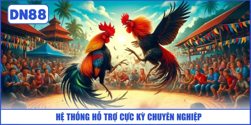 he-thong-ho-tro-cuc-ky-chuyen-nghiep