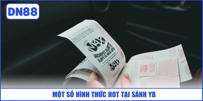 mot-so-hinh-thuc-hot-tai-sanh-yb