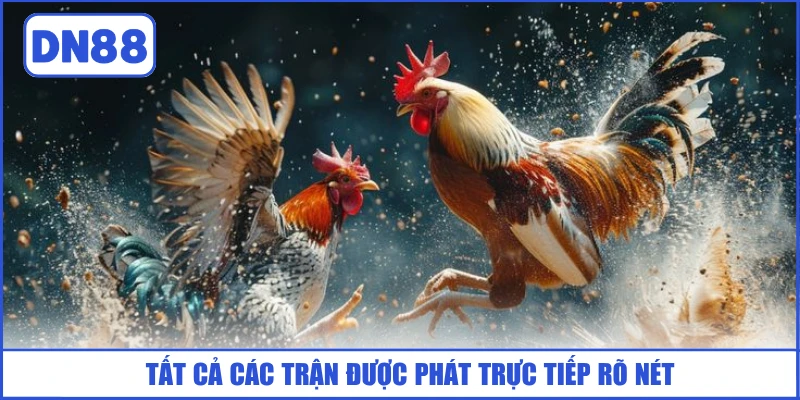 tat-ca-cac-tran-duoc-phat-truc-tiep-ro-net